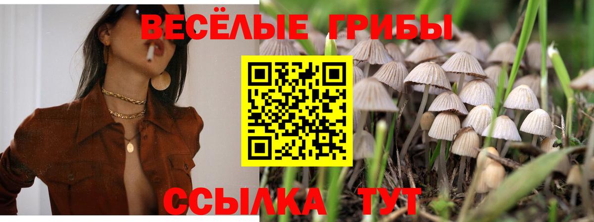 Псилоцибиновые грибы мухоморы  Вход с VPN  Волгоград 